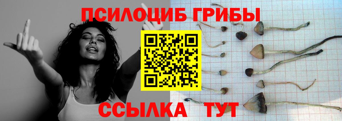 Псилоцибиновые грибы GOLDEN TEACHER Великий Новгород